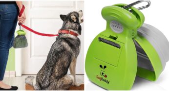 DogBuddy Pooper Scooper Provides the Best Solution for Removing Dog Poo