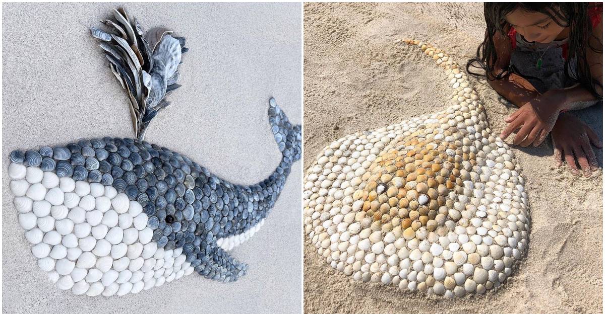 Pandemic Forces Jewelry Designer to Transform into an Amazing Seashell Artist