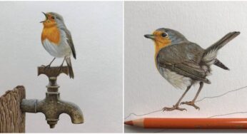 Wandalin van den Abeele: An Independent Artist Whose Favorite Subject Is Birds