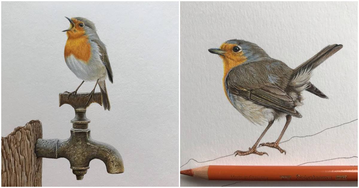 Wandalin van den Abeele: An Independent Artist Whose Favorite Subject Is Birds