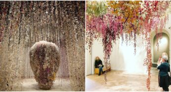 Rebecca Louise Law’s work explores the complexity of our human connection to nature