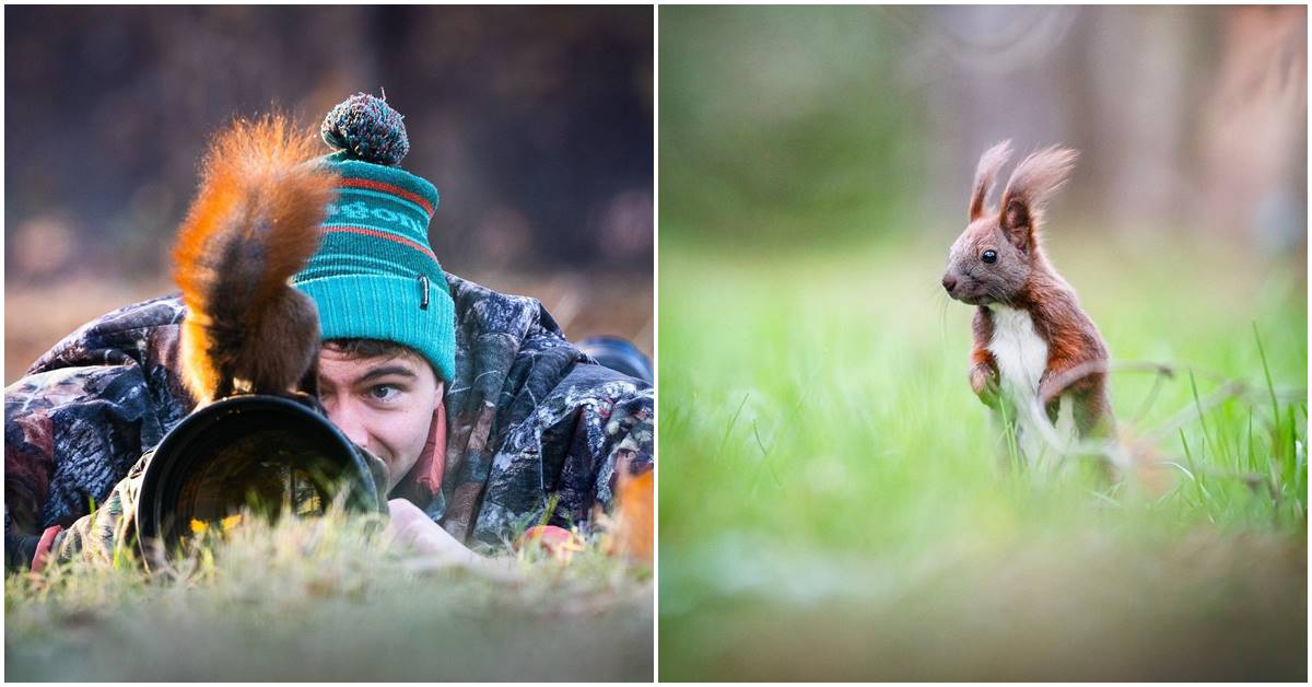 Meet Mateusz Piesiak – The Nature Photographer Who Reveals Deeper Beauty In His Photography