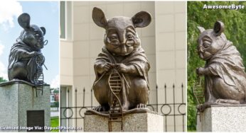 The Laboratory Mouse and the DNA Puzzle: A Unique Sculpture in Siberia